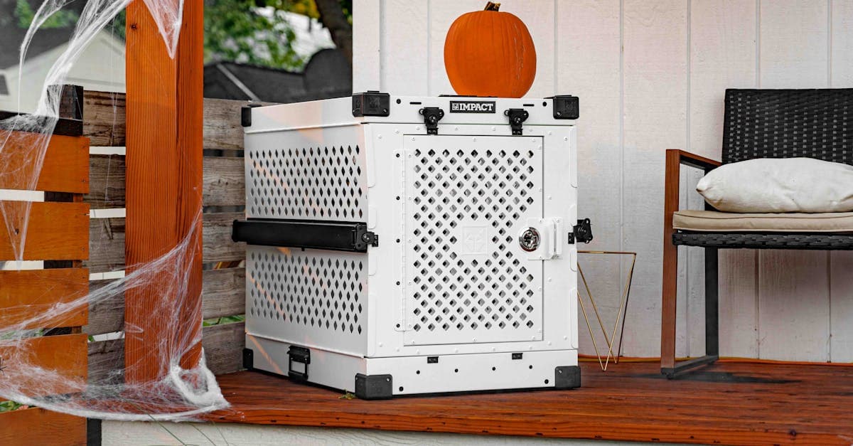 Cover Image for Transform Your Outdoor Space: The Ultimate Guide to Stunning Patio Enclosures